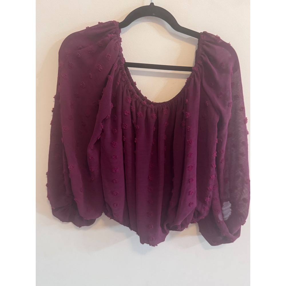 HYFVE Burgundy Swiss Dot Off Shoulder Blouse Long Puff Crop Top Dainty Fairy S